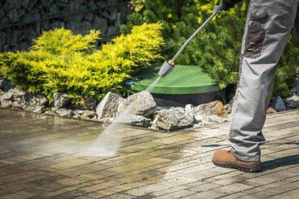 Best Solar Panel Cleaning  in Pensacola, FL